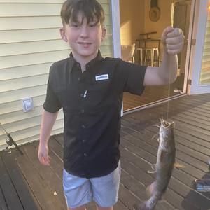 Meet your Posher, Blake